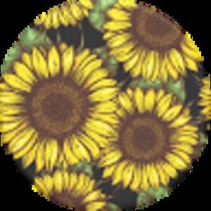 Meet your Posher, Rebekah